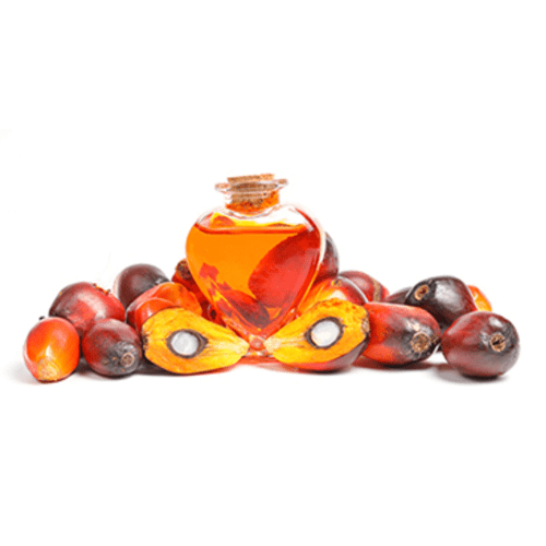 Palm Oil
