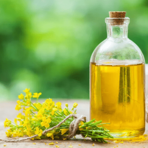 Rapeseed Oil